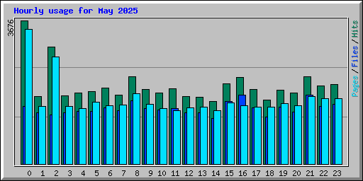 Hourly usage for May 2025