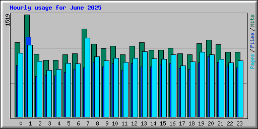 Hourly usage for June 2025