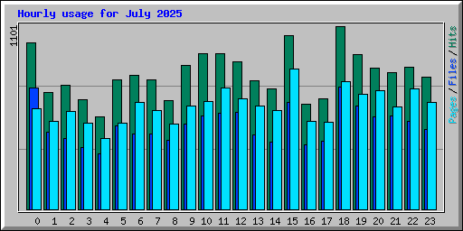 Hourly usage for July 2025