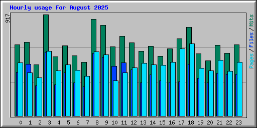 Hourly usage for August 2025