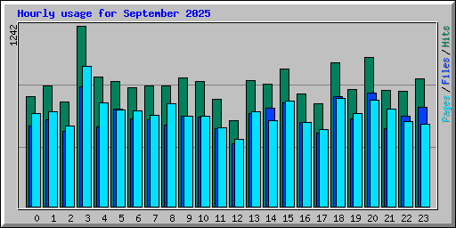 Hourly usage for September 2025