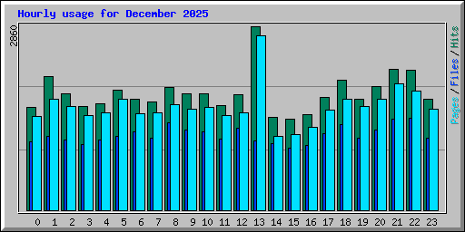 Hourly usage for December 2025