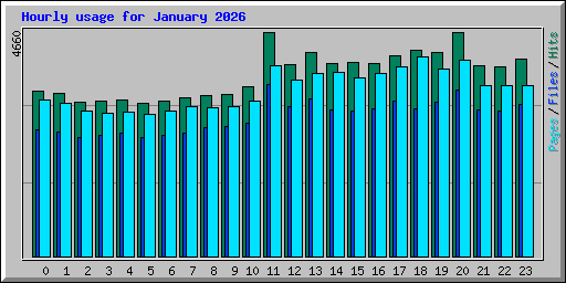 Hourly usage for January 2026