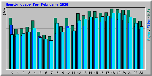 Hourly usage for February 2026